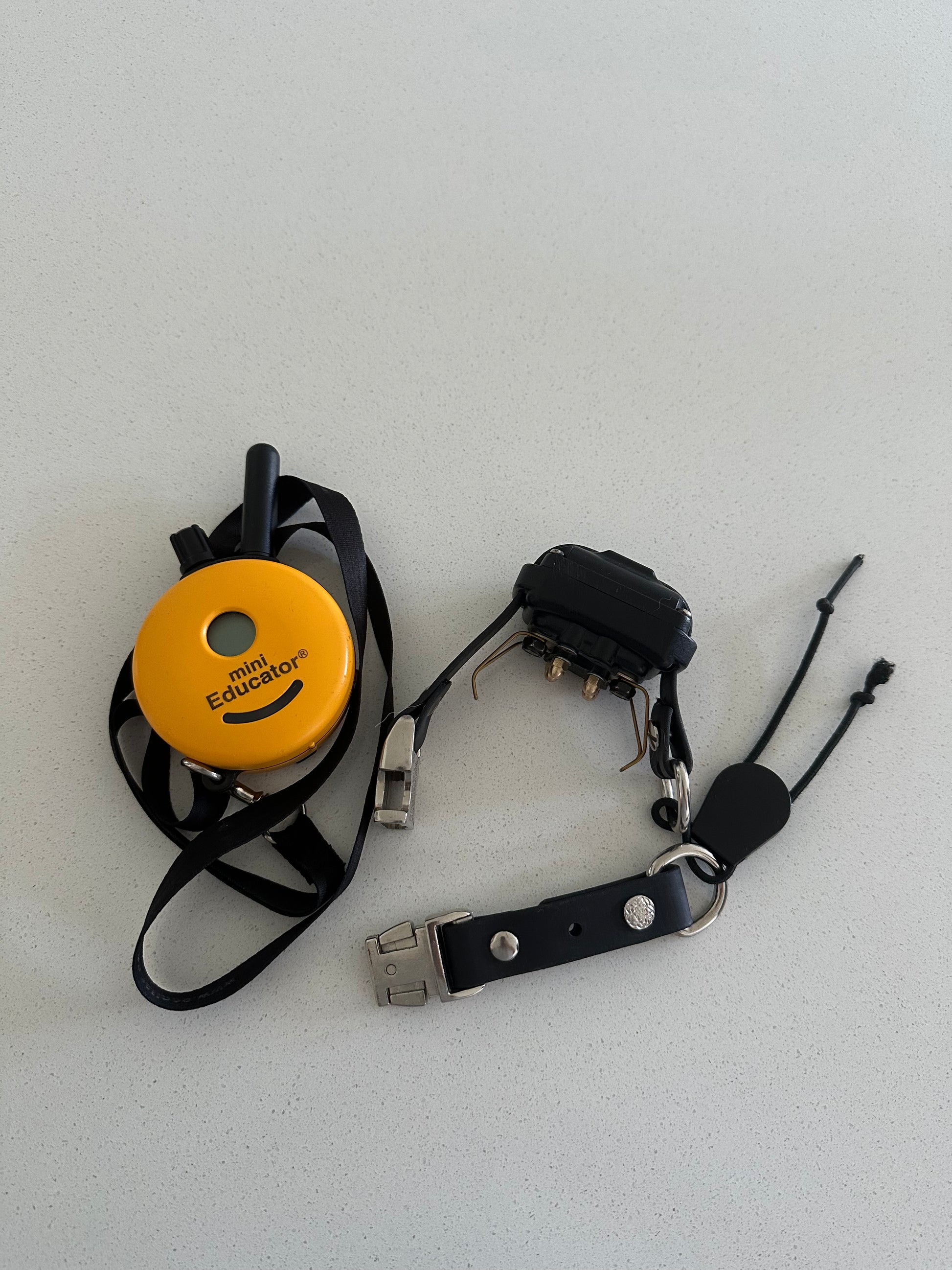Recall only E Collar Training Husky Standard